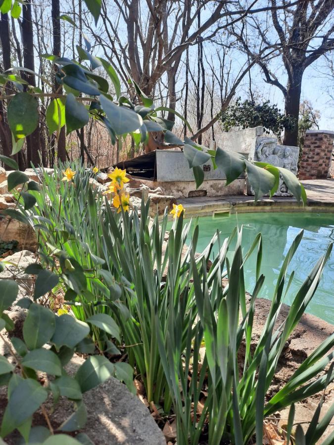 Arcadia Luxury Guesthouse Kroonstad Zewnętrze zdjęcie